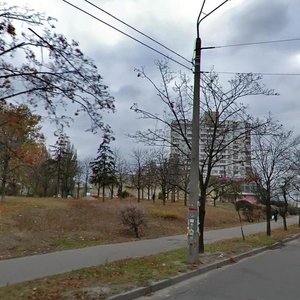 Myropilska Street, 19, Kyiv: photo