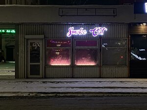 Череповец, Проспект Победы, 102А: фото