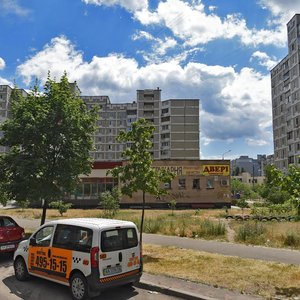 Mykoly Lavrukhina Street, 9, Kyiv: photo