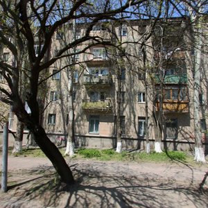 Maksima Gorkogo Street, 217/60, : foto