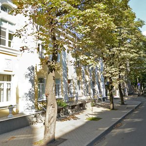 Komissarzhevskoy Street, 18, Voronezh: photo