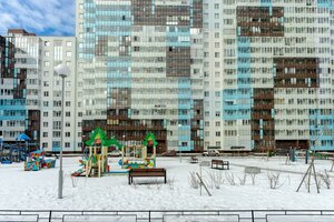 Plesetskaya Street, 20к2, Saint Petersburg: photo