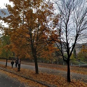 Cheliabinska Street, 3, Kyiv: photo