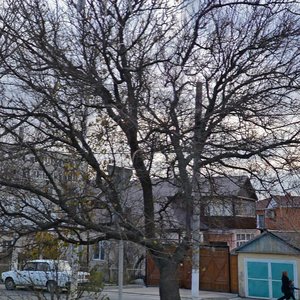 Oktyabrskaya Street, 90, Gelendgik: photo