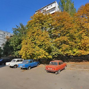 Запорожье, Новгородская улица, 20: фото