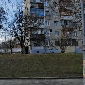 Harmatna Street, 38 ، كييف: صورة