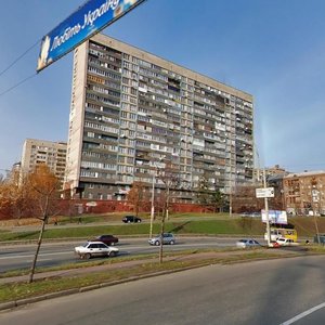 Lesi Ukrainky Boulevard, 36Б, Kyiv: photo