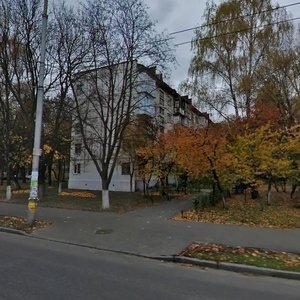 Solomianska Street, 29, Kyiv: photo
