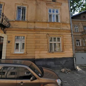 Vulytsia Denysa Lukiianovycha, No:5, Lviv: Fotoğraflar