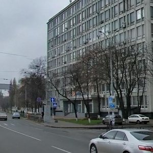 Povitroflotskyi Avenue, 54, Kyiv: photo