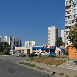 Vulytsia Mykoly Mikhnovskoho, 3, Dnipro: photo