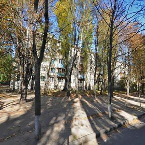 Mykhaila Dontsia Street, 20, Kyiv: photo