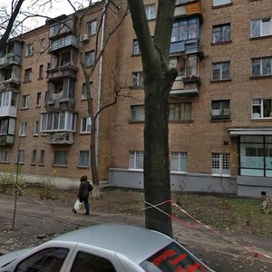 Tsytadelna Street, 7, Kyiv: photo