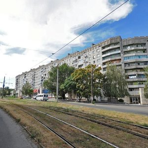 Prospekt Vasylia Stusa, 2Б, Kamianske: photo