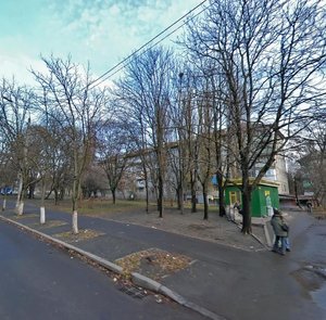 Mykoly Vasylenka Street, 9, Kyiv: photo