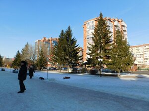 Ulitsa Dekabristov, 98, Omsk: photo