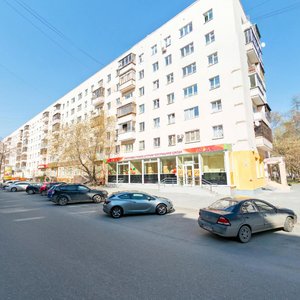 Mamina-Sibiryaka Street, 137, Yekaterinburg: photo