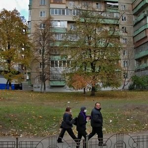 Valeriia Lobanovskoho Avenue, 29, Kyiv: photo