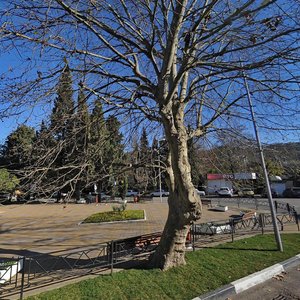 Oktyabrya Street, 4, Sochi: photo