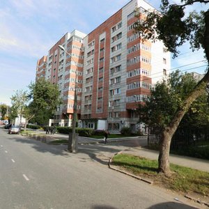 Borchaninova Street, 15, Perm: photo