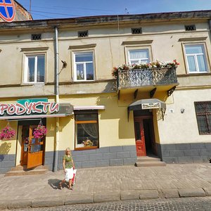 Lychakivska vulytsia, 11, Lviv: photo