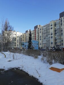 Verkhnyaya ulitsa, 30, Koltushi: photo