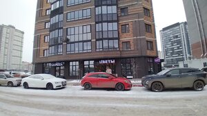 Воронеж, Улица Историка Костомарова, 48А: фото