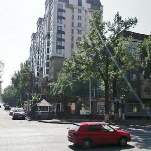 Kabanbai Batyr Street, 68А, Almaty: photo