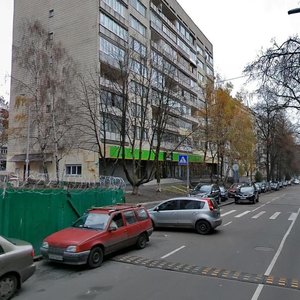 Observatorna Street, 12А, Kyiv: photo