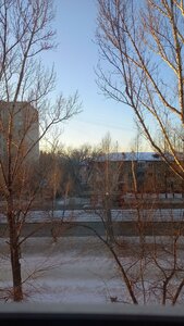 Antona Petrova Street, 158, Barnaul: photo