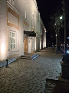 Bolshaya Moskovskaya Street, 7 ، : صورة