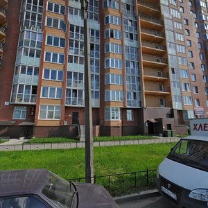 Санкт‑Петербург, Улица Антонова-Овсеенко, 5к1: фото