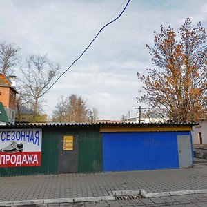 Zhukovskogo Street, 36, Tula: photo