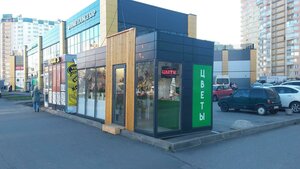Bogatyrskiy Avenue, 54/32, : foto