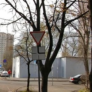 Adama Mitskevycha Street, 1, Kyiv: photo