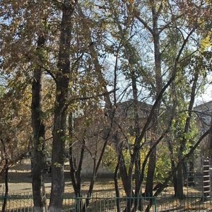 Orlova Street, 18, Kurgan: photo