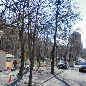 Vasylia Tiutiunnyka Street, 5, Kyiv: photo