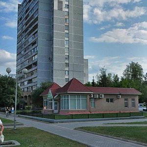 Sireneviy Boulevard, 11А, Troitsk: photo