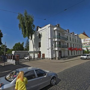 Lychakivska vulytsia, 72, Lviv: photo