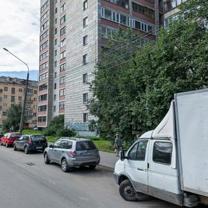 Lomonosova Avenue, 175 ، : صورة