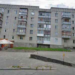 Paperovyi Lane, 14, Zhytomyr: photo