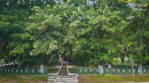 Рышканский район, Улица Михаила Лермонтова, 138: фото