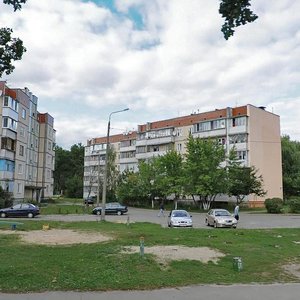 Synoozerna Street, 2А, Kyiv: photo