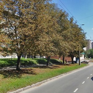 Prospekt Zluky, 25, Ternopil: photo