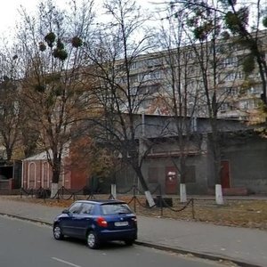 Hnata Yury Street, 16, Kyiv: photo