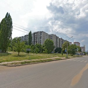 Vladimira Nevskogo Street, 40, Voronezh: photo