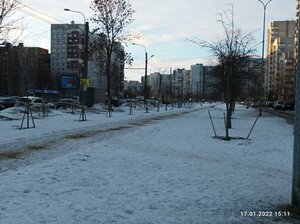 Korablestroiteley Street, 31к1 ، سان بطرسبرغ: صورة