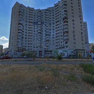 Larysy Rudenko Street, 1/24, Kyiv: photo