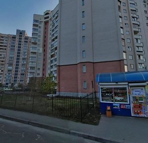 Vyshniakivska Street, 9, Kyiv: photo