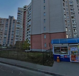 Vyshniakivska Street, 9, Kyiv: photo